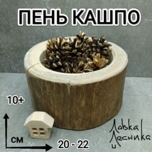 Кашпо ваза Пень большой D20-23 высота 10см ель без коры для декора интерьера. ЭКО кругляшок из бревна